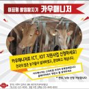 도성목장 이미지