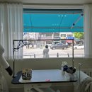 고려 애견 미용실 이미지