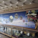 인천부광초등학교 이미지