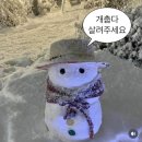 (주)남일소프트 | [신한 커리어업 7기] 홍보마케팅 18~20일차 후기 / 눈보라와 함께 몰아치는 일