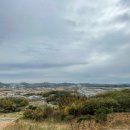 삼부마트 이미지