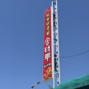 5788 | 대전 중국집 송태루 솔직후기 | 계란이불 덮인 짬뽕밥 맛집 (+타슈 타고 간 후기)