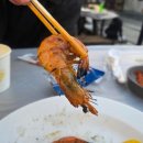 강원도여성가족연구원 | 강원도 오션뷰 숙소 바다 앞 힐링 숙소 오션투유리조트 포레스트뷰 솔직 후기