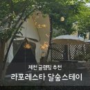 달숲스테이 이미지