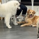 두유 개린이집 이미지