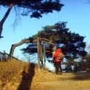 시호천약수터 이미지