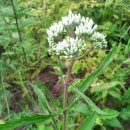 가득농장 이미지