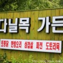 다닐목 네이버블로그