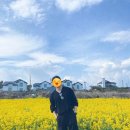 벨롱스테이 네이버블로그