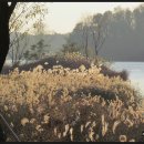 호수의오후 이미지