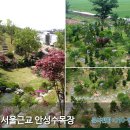 장례를돕는사람들 - 춘천시 하사관길 15-15 | 장례를돕는사람들