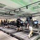 버핏그라운드 도곡, 팀버핏 도곡 이미지