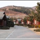 망상오토캠핑리조트 이미지