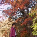 The Best Of Divas &amp; Run To You 'Mr. NAM'~! 이미지