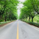 여강길(7코스 부처울습지길) 이미지