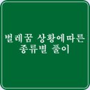 벌레꿈 상황별 벌레에 관한 꿈 종류별 풀이 이미지