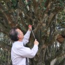 [시민제안강좌]  중국차의 이해 | <금사정 500 동백정원> 조성 정책제안