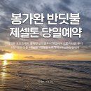 반딧불 | 코타키나발루 제셀톤 당일예약으로 다녀온 봉가완 반딧불투어 후기