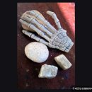 평화의 마을 | 안성 요양원 추천 구세군안성평화의마을 편안한 노인 요양 공간