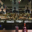 히든래빗 이미지