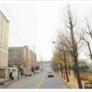 서정지구대 사거리 이미지