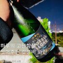 토스티로드 이미지