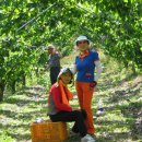 은식농장 이미지