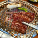 봉화빌딩 | 원주한우맛집 추천! 최상급 1++BMS 8,9번 한우를 이 가격에? 단계동 가성비 맛집 "배부른한우" 후기