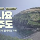 한라서비스 | 김포공항 주차 꿀팁 : 한라주차장 주차 대행 서비스 솔직 후기
