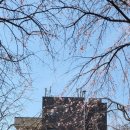 진사리입구 이미지