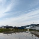 재벌로터리 네이버블로그