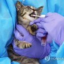 창원시 동물보호센터 동물병원 이미지