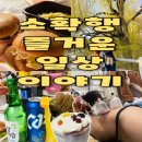 일산365한의원 | 벚꽃 개화 소식과 함께한 나의 일상 모음.zip (운동/가족/데이트/먹방)