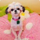 몽글몽글 이미지