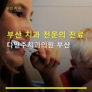 부산 치과 전문의 진료 다믿주치과의원 부산 사랑니 발치와 임플란트 전문 치료