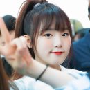 새롬 이미지