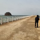 방포해수욕장 Daum카페