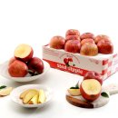 대경유통 | 여기만큼 맛있는 곳은 찾기 어려울거에요 대경사과원예농협 사과추천