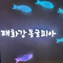 야음장생포해피투게더타운 | 울산 남구 아이와 놀거리 볼거리 울산태화강동굴피아 (주차, 입장료)