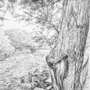 선묘풍경 이미지