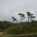 계동농장 Daum카페