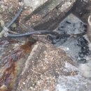 백양사농협버섯사업소 이미지