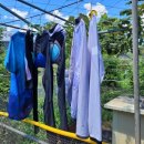 민구농장 이미지