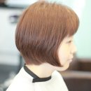더 하우스 헤어