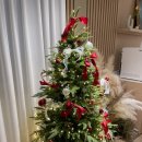 미르365한의원 이미지