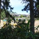 소원초등학교 의항분교장 이미지