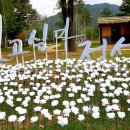 정선읍 녹송공원 주차장 이미지