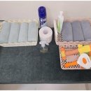 달리애견 이미지