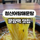 낙동강어탕매운탕 네이버블로그