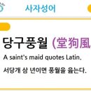 당구풍월 Daum카페